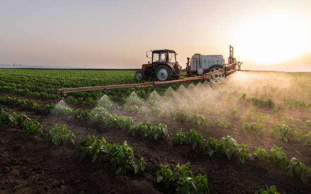 Best Wildlife Control Services  in Blytheville, AR