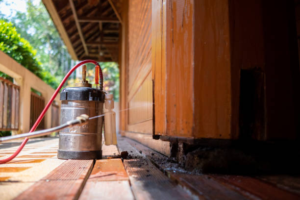 Best Best Pest Control Companies  in Blytheville, AR