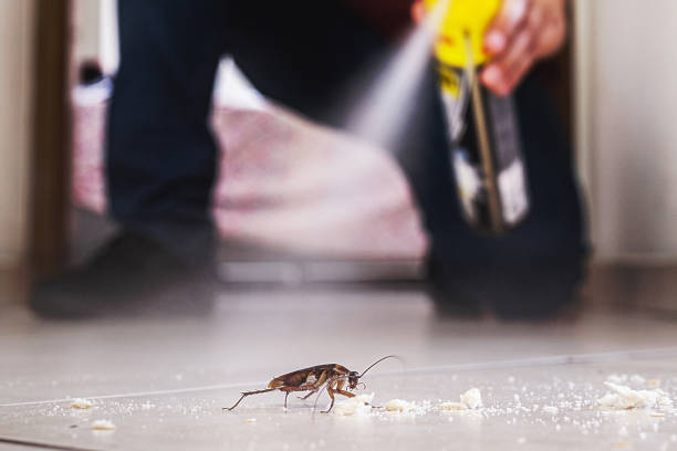 Pest Prevention Services in Blytheville, AR