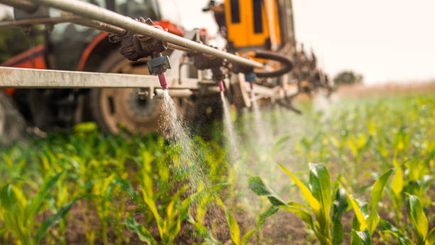 Best Pest Control for Businesses  in Blytheville, AR